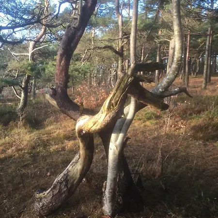 Pa Tromoy, Apartament *