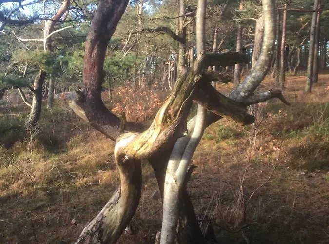 Pa Tromoy, Lägenhet *